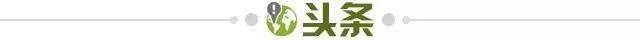 开云体育-【早报】结束6年冠军荒！皇家社会夺得国王杯冠军！